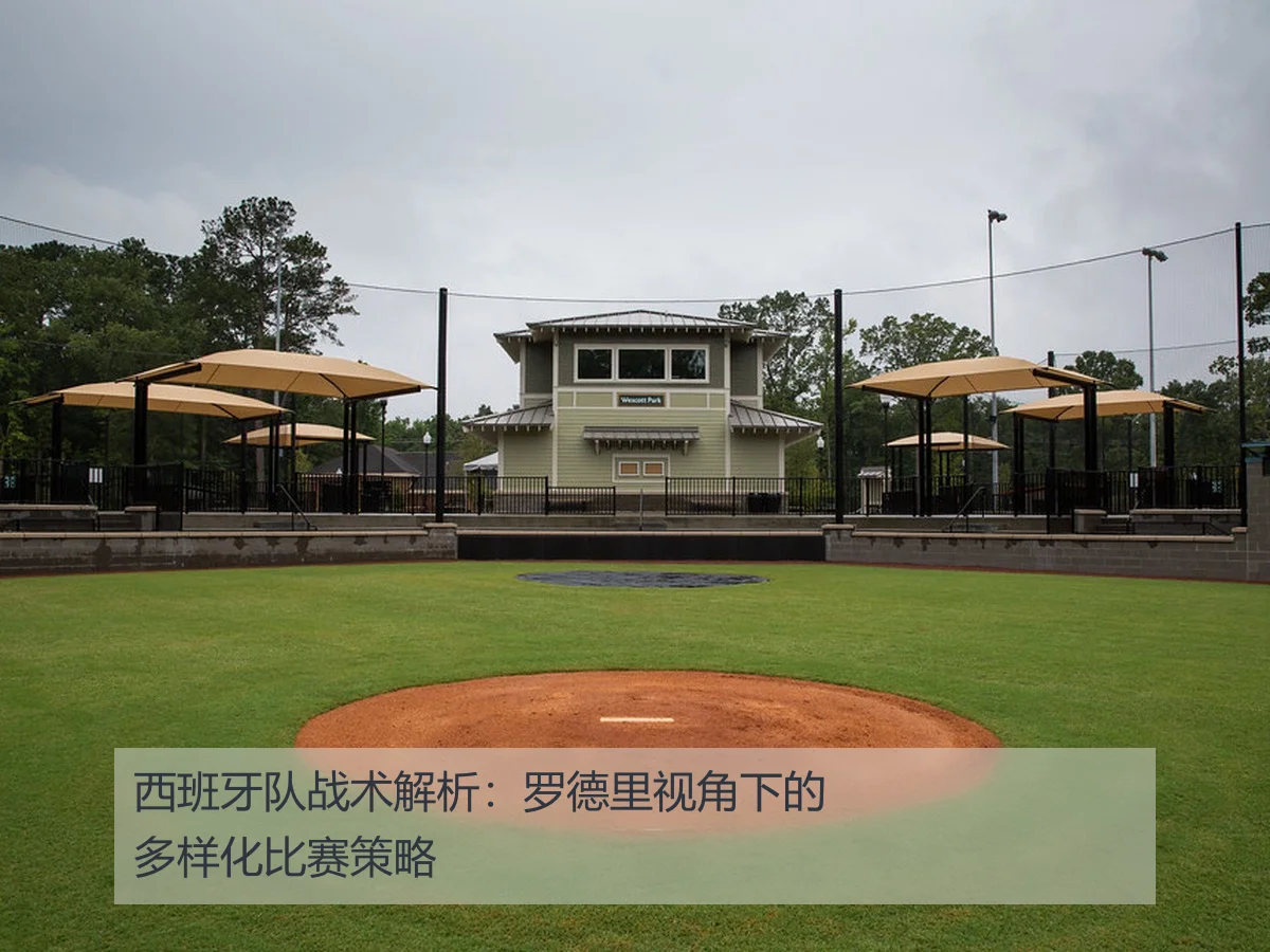 西班牙队战术解析：罗德里视角下的多样化比赛策略